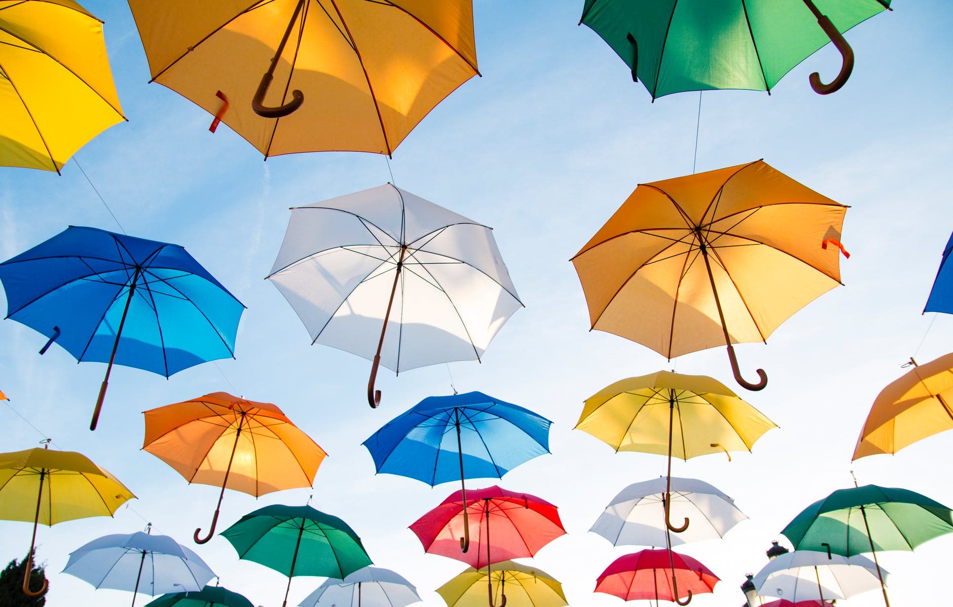 Colorful umbrellas representing insurance protection